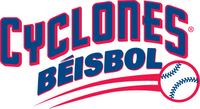 2010BEISBOL.jpg